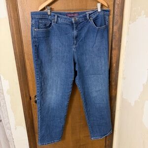 Gloria Vanderbilt 20WS Blue Denim Jeans -Amanda